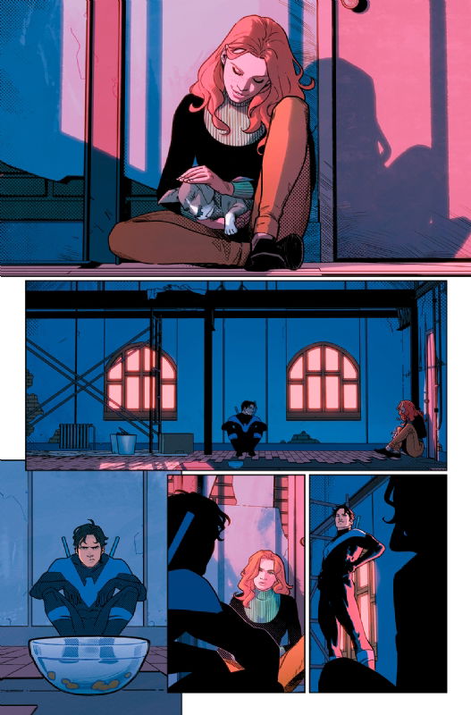 NIghtwing #79 - page 4 -Artists' Proof By Adriano Lucas