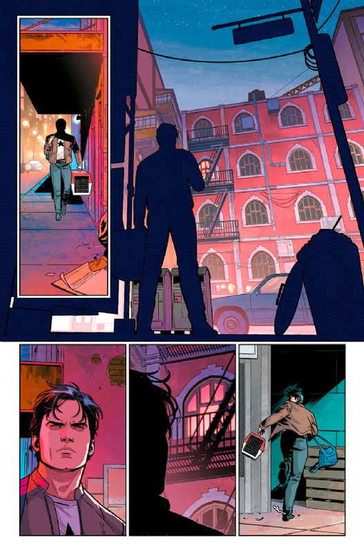 Nightwing #78 - page 15 - Artists' Proof By Adriano Lucas